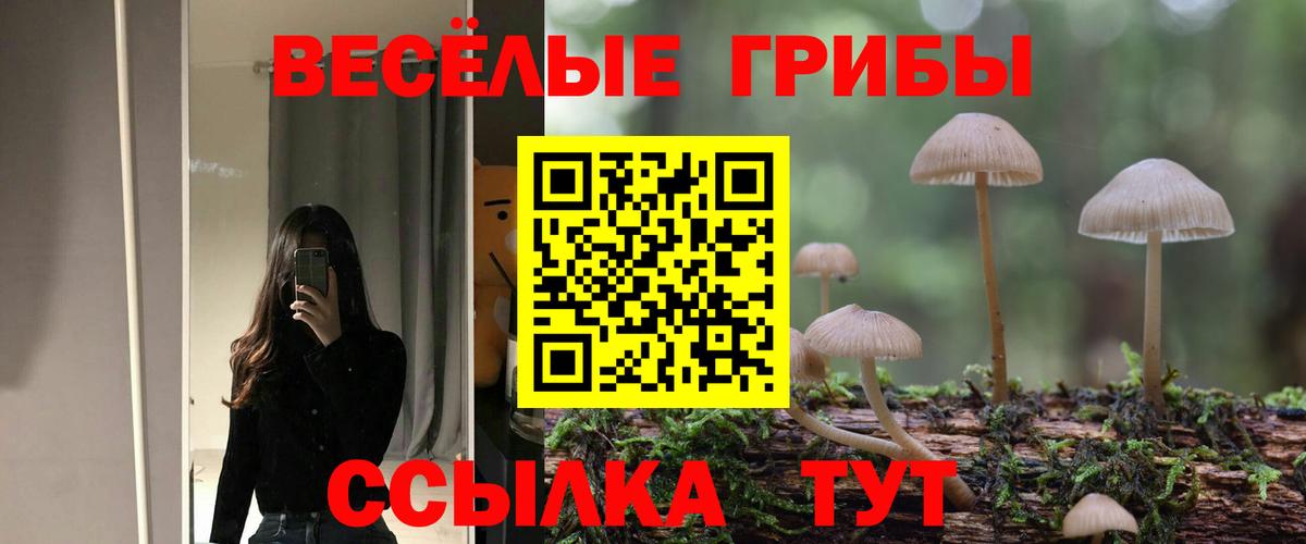 Городец  как найти наркотики  Вход с VPN  Псилоцибиновые грибы ЛСД 